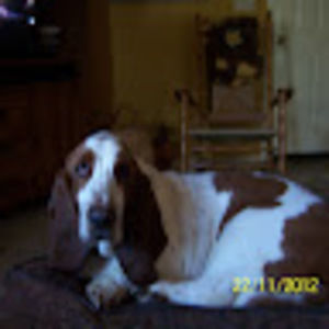 Meet your Posher, Regina